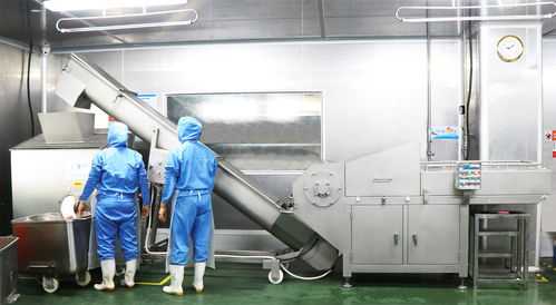 食品企业如何通过加工流程确保食品安全